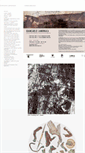 Mobile Screenshot of lamonaca.it